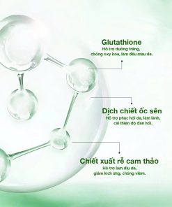 thành phần serum