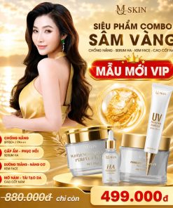 combo sâm vàng mẫu mới new version